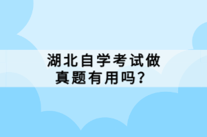 湖北自學考試做真題有用嗎？
