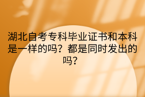 湖北自考專科畢業(yè)證書和本科是一樣的嗎？都是同時(shí)發(fā)出的嗎？