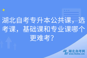 湖北自考專升本公共課，選考課，基礎(chǔ)課和專業(yè)課哪個更難考？