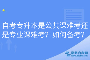 自考專升本是公共課難考還是專業(yè)課難考？如何備考？