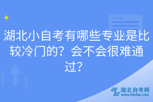 湖北小自考有哪些專業(yè)是比較冷門的？會不會很難通過？