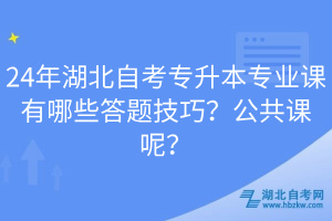 24年湖北自考專升本專業(yè)課有哪些答題技巧？公共課呢？