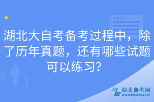 湖北大自考備考過程中，除了歷年真題，還有哪些試題可以練習(xí)？