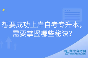 想要成功上岸自考專升本，需要掌握哪些秘訣？