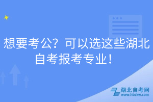 想要考公？可以選這些湖北自考報考專業(yè)！