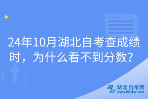 24年10月湖北自考查成績(jī)時(shí)，為什么看不到分?jǐn)?shù)？