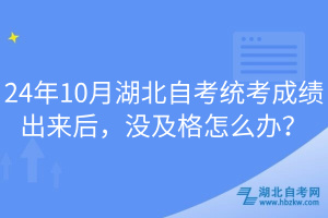 24年10月湖北自考統(tǒng)考成績(jī)出來(lái)后，沒(méi)及格怎么辦？