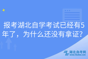 報考湖北自學(xué)考試已經(jīng)有5年了，為什么還沒有拿證？