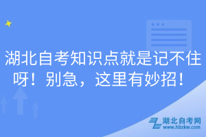 湖北自考知識(shí)點(diǎn)就是記不住呀！別急，這里有妙招！