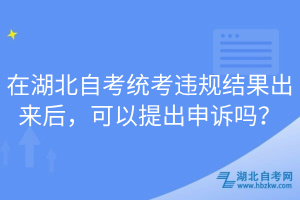 在湖北自考統(tǒng)考違規(guī)結果出來后，可以提出申訴嗎？