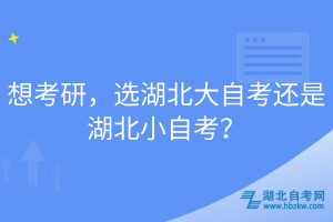 想考研，選湖北大自考還是湖北小自考？