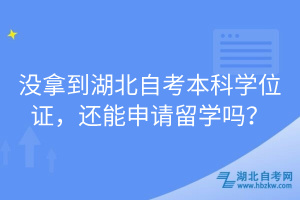 沒拿到湖北自考本科學(xué)位證，還能申請留學(xué)嗎？