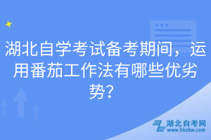 湖北自學(xué)考試備考期間，運用番茄工作法有哪些優(yōu)劣勢？