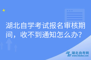 湖北自學考試報名審核期間，收不到通知怎么辦？