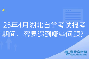 25年4月湖北自學考試報考期間，容易遇到哪些問題？