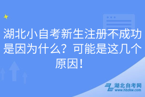湖北小自考新生注冊(cè)不成功是因?yàn)槭裁?？可能是這幾個(gè)原因！