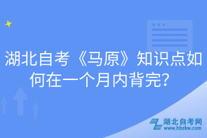 湖北自考《馬原》知識點(diǎn)如何在一個(gè)月內(nèi)背完？