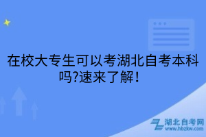 在校大專生可以考湖北自考本科嗎?速來了解！