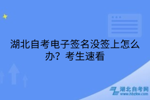 湖北自考電子簽名沒簽上怎么辦？考生速看