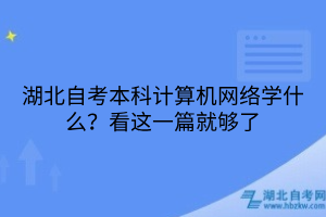 湖北自考本科計(jì)算機(jī)網(wǎng)絡(luò)學(xué)什么？看這一篇就夠了