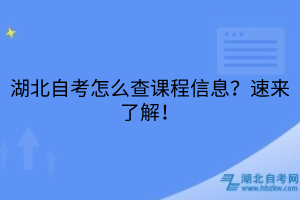 湖北自考怎么查課程信息？速來了解！