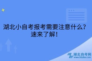 湖北小自考報考需要注意什么？速來了解！