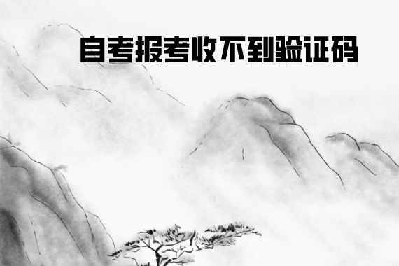 自考報考收不到驗(yàn)證碼