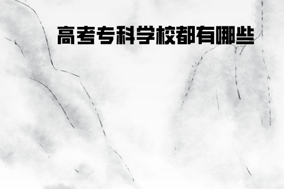 高考?？茖W(xué)校都有哪些