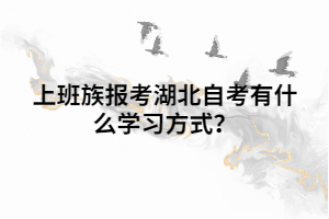 上班族報考湖北自考有什么學習方式？