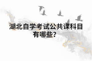 湖北自學(xué)考試公共課科目有哪些？