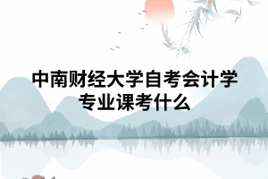 中南財經(jīng)大學自考會計學專業(yè)課考什么 中南財經(jīng)大學自考會計學專業(yè)課考什么