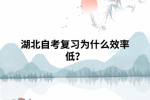 湖北自考復(fù)習(xí)為什么效率低？