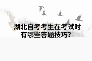 湖北自考考生在考試時有哪些答題技巧？