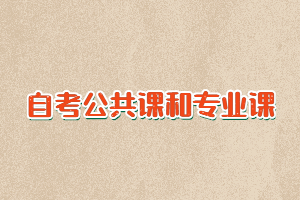 自考公共課和專業(yè)課各有多少門課程要考？