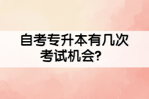 自考專升本有幾次考試機會？