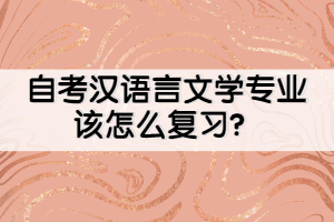 自考漢語(yǔ)言文學(xué)專(zhuān)業(yè)該怎么復(fù)習(xí)？