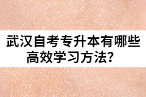 武漢自考專升本有哪些高效學(xué)習(xí)方法？
