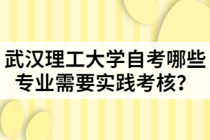 武漢理工大學自考哪些專業(yè)需要實踐考核？