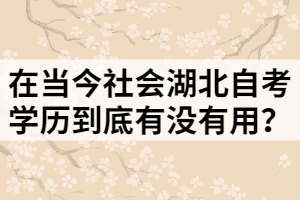在當今社會湖北自考學歷到底有沒有用？