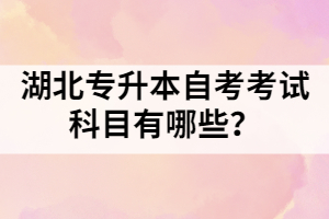 湖北專升本自考考試科目有哪些？