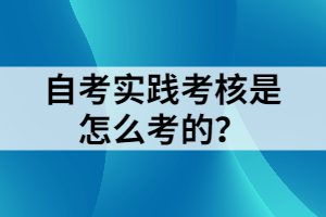 自考實踐考核是怎么考的？