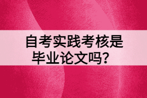 自考實踐考核是畢業(yè)論文嗎？