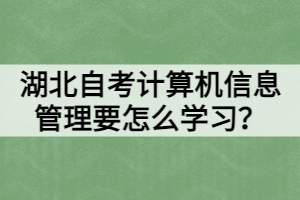 湖北自考計算機信息管理要怎么學(xué)習(xí)？