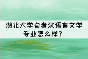 湖北大學(xué)自考漢語言文學(xué)專業(yè)怎么樣？