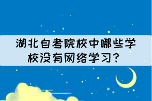 湖北自考院校中哪些學(xué)校沒有網(wǎng)絡(luò)學(xué)習(xí)？