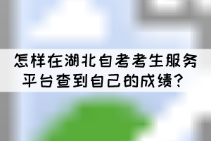 怎樣在湖北自考考生服務(wù)平臺查到自己的成績？