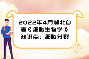 2022年4月湖北自考《細(xì)胞生物學(xué)》知識點：細(xì)胞分裂