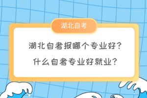 湖北自考報(bào)哪個(gè)專業(yè)好？什么自考專業(yè)好就業(yè)？