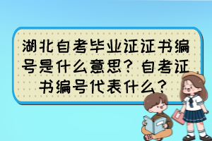 湖北自考畢業(yè)證證書編號是什么意思？自考證書編號代表什么？