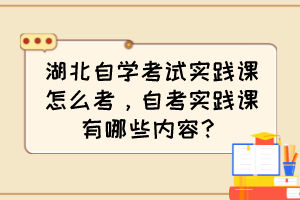 湖北自學(xué)考試實(shí)踐課怎么考，自考實(shí)踐課有哪些內(nèi)容？